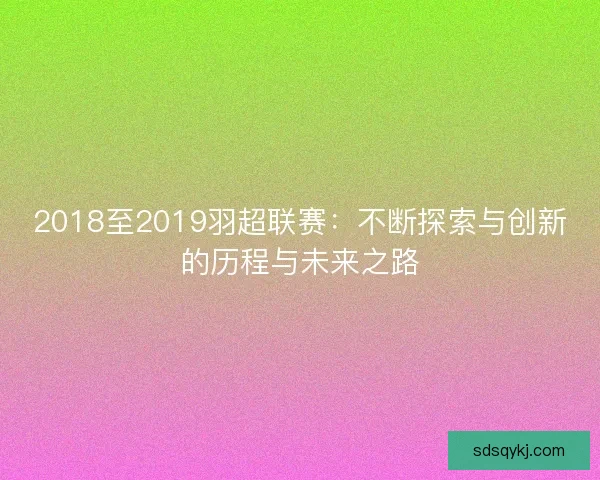 2018至2019羽超联赛：不断探索与创新的历程与未来之路